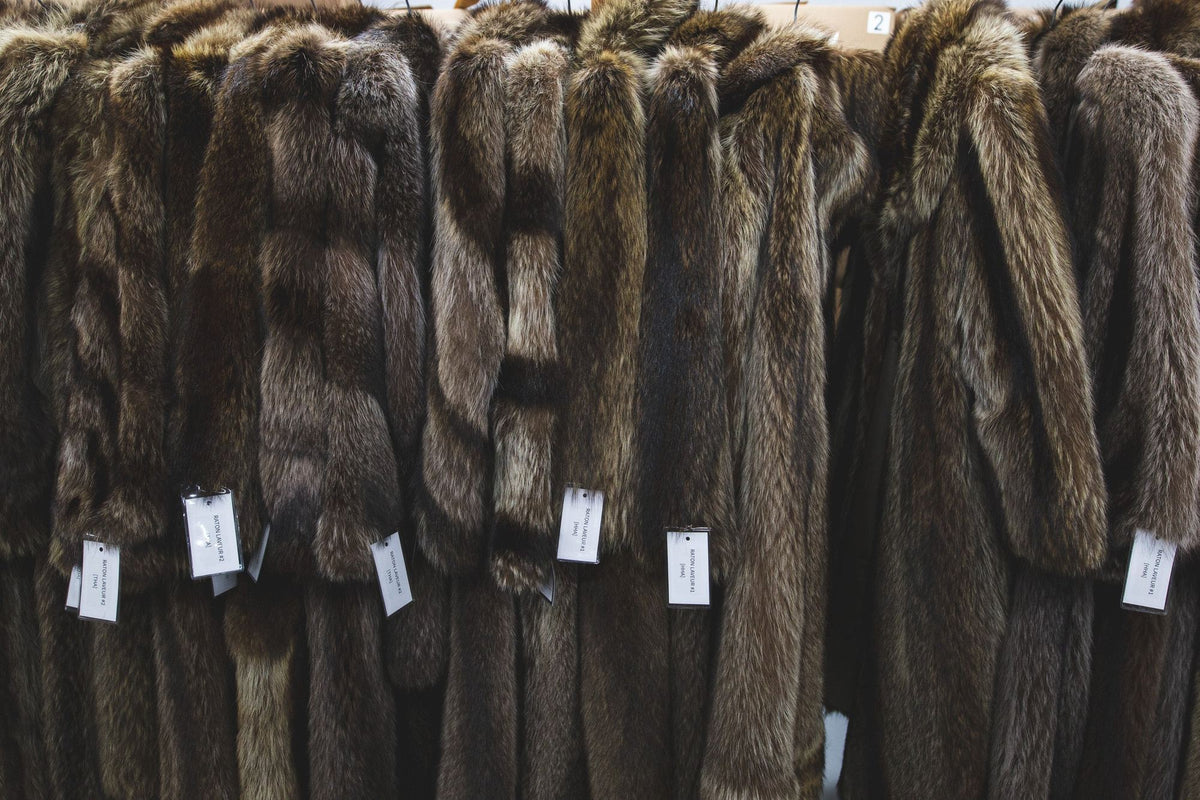 Recycled fur coats ready to be turned into handmade hats in Quebec