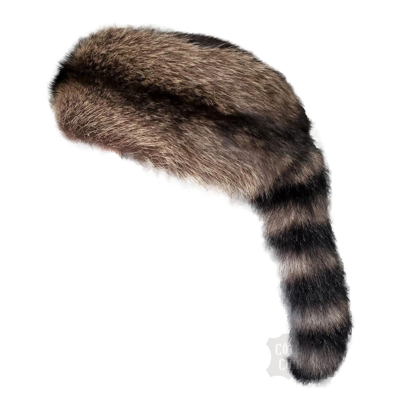 Davy Crockett for kids